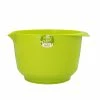 Rührschüsseln RBV Birkmann Colour Bowl Rühr-und Servierschüssel Limette 4,0 Ltr. -Zetzsche Greta-shop IMG100150382 41409